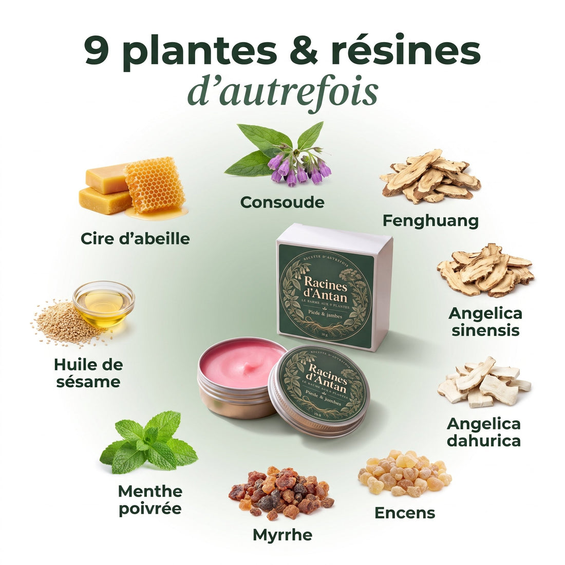 Les 9 plantes et résines du baume Racines d'Antan